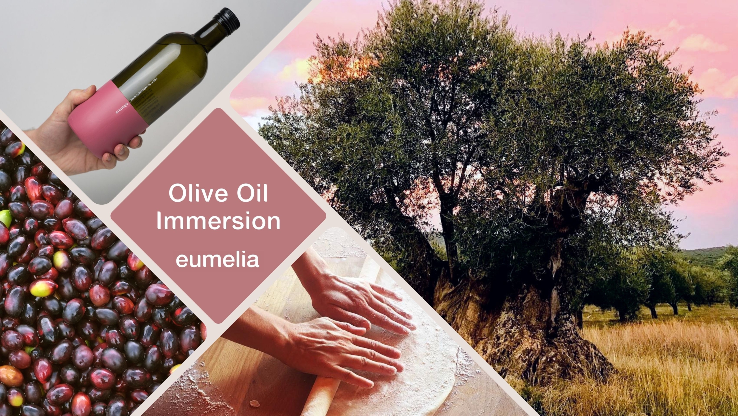 eumelia olive oil immersion tour
