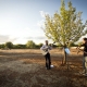 musicians during a farm wedding at eumelia