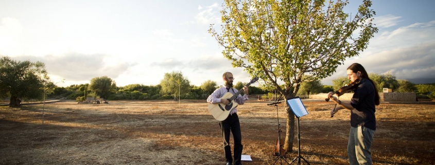 musicians during a farm wedding at eumelia