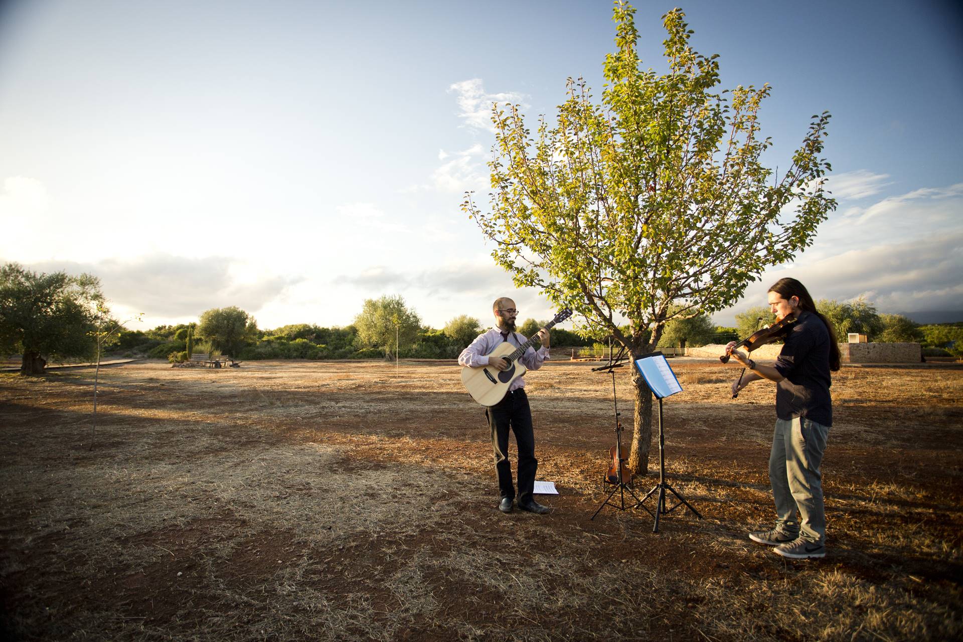 musicians during a farm wedding at eumelia