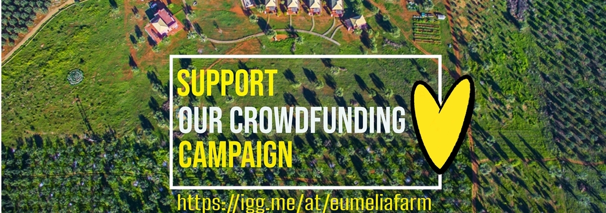 our crowdfunding campaign to go off the grid