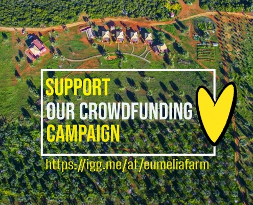 our crowdfunding campaign to go off the grid